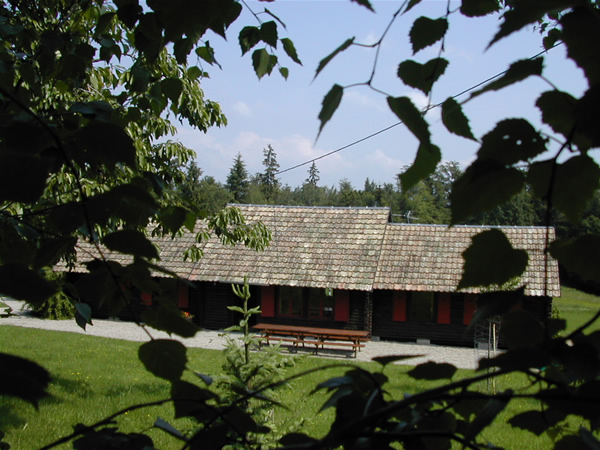 Chalet entre les arbres