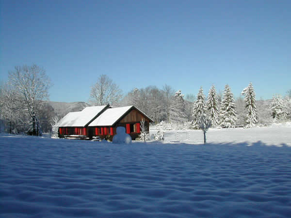 Vue sous la neige